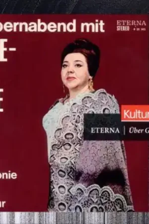 Top Rated Spiegel-Ed.20 Kuhse