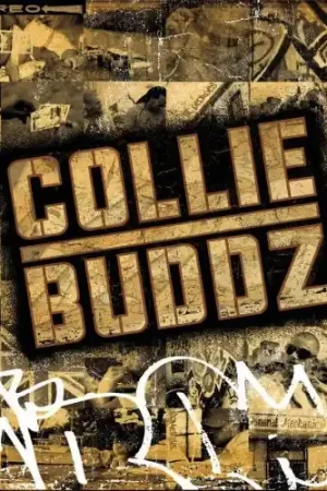 Collie Buddz Weekend Sale