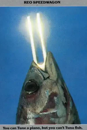 You Can Tune A Piano, But You Can't Tuna Fish Fresh Stock