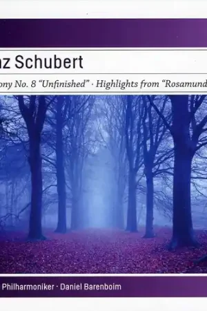 Top Rated Symphony No. 8 Unfinished