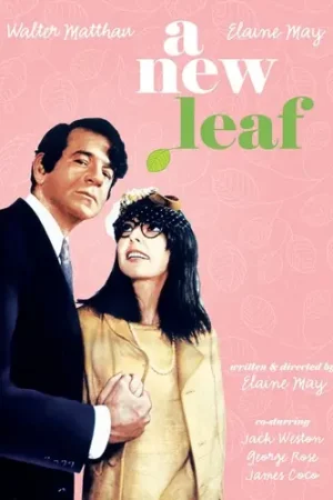 Limited Offer A New Leaf
