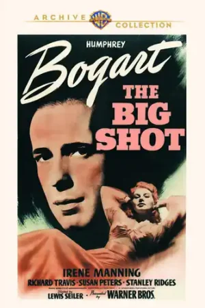 The Big Shot Same Day Shipping
