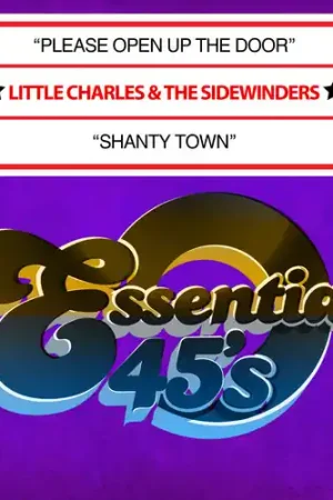 Please Open Up The Door / Shanty Town (Digital 45) Hot Deal