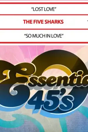 Lost Love / So Much In Love (Digital 45) (Mod) Big Sale