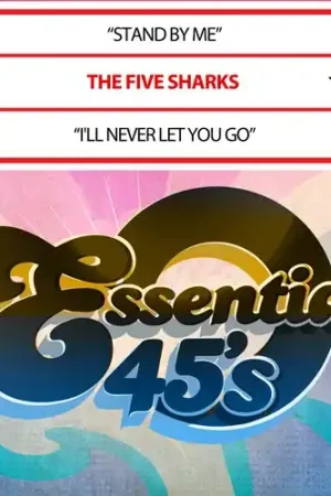 Stand By Me / I'll Never Let You Go (Digital 45) High Quality
