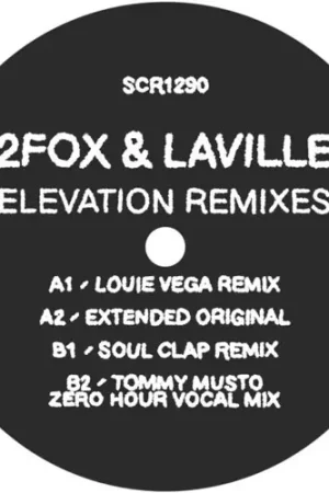 Mega Sale Elevation (Louie Vega Remix) [Colored Vinyl] (Grn)