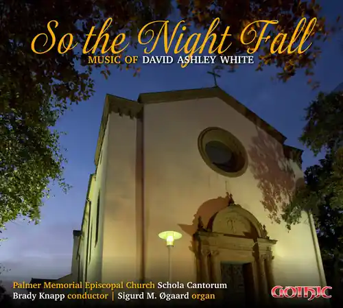 Best Seller David Ashley White: So The Night Fall