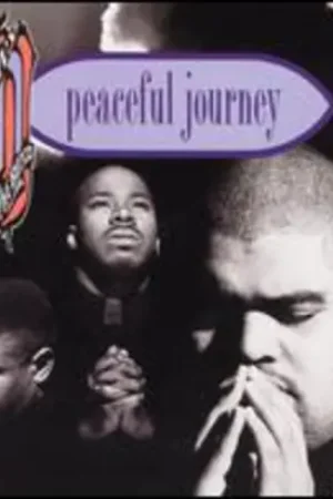 Top Pick Peaceful Journey