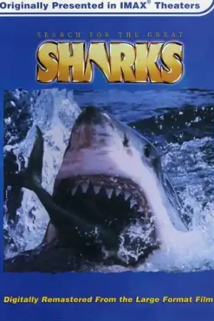 Search for the Great Sharks / Imax & Ac-3 Free Shipping