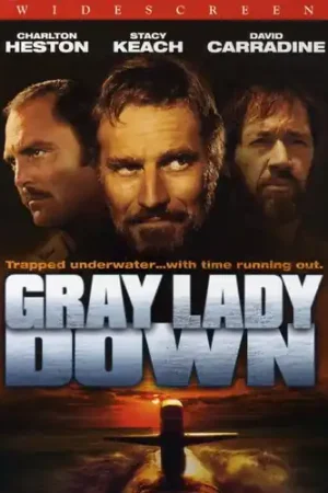 Flash Sale Gray Lady Down