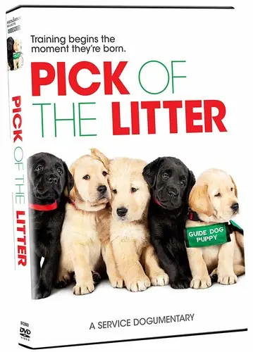 Pick Of The Litter Express Delivery