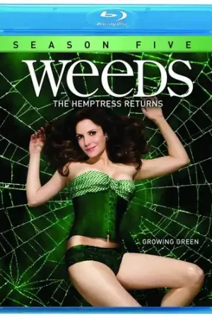 Weeds: Season 5 New Arrival