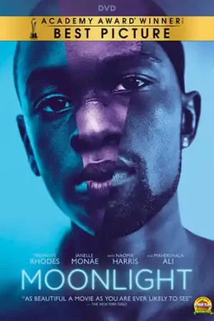 Moonlight Popular