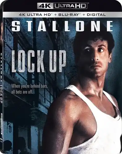 Shop Now Lock Up (4k) (Wbr) (2pk) (Ac3) (Digc) (Dts) (Ws)