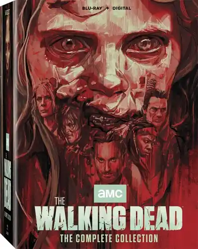 Mega Sale Walking Dead Complete Series - Season 1-11