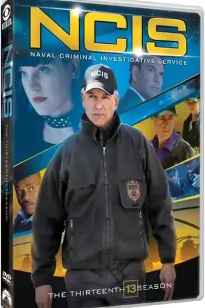 NCIS: Naval Criminal Investigative Service: The Thirteenth Season Reduced Price
