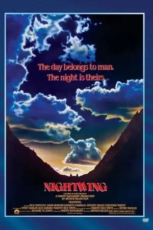 Nightwing Limited Edition