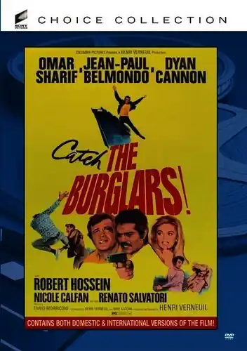 New Arrival The Burglars