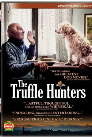 The Truffle Hunters No Minimum Order