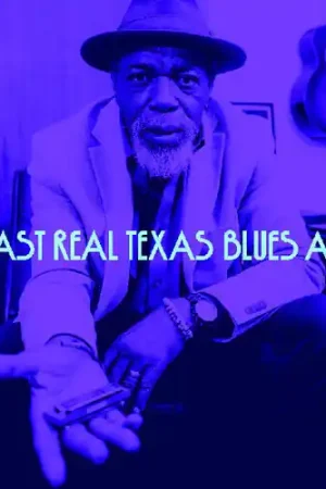 Hassle-Free Returns Last Real Texas Blues Album / Various (Stic) [Digipak]