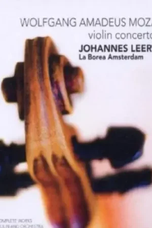 Violin Concertos Best Choice