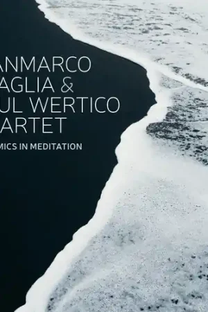 Dynamics in Meditation Big Sale