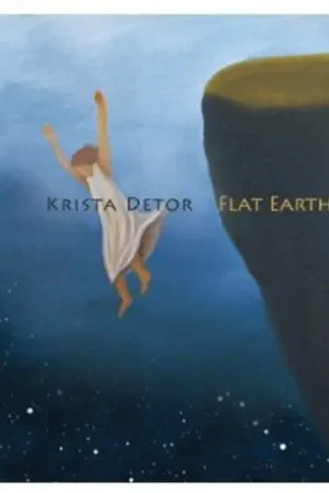 Modern Flat Earth Diary