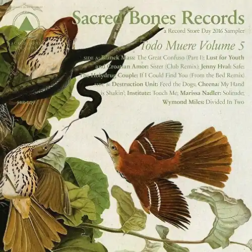 Factory Price TODO MUERE VOL 5 / VARIOUS