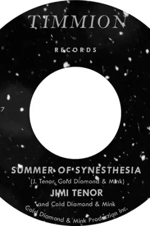Summer Of Synesthesia [Clear Vinyl] Factory Price