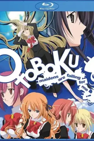 Otoboku Special Discount