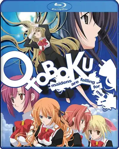 Otoboku Special Discount