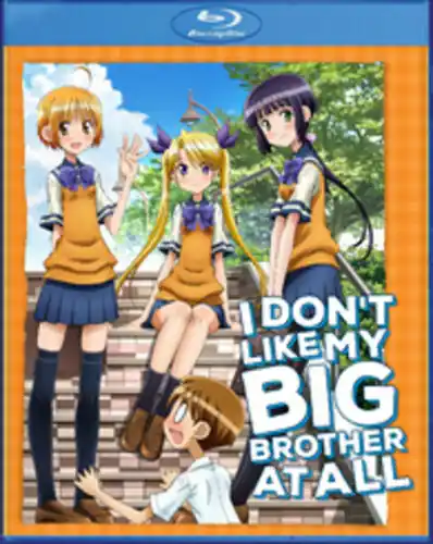 Buy Direct I Don't Like My Big Brother At All