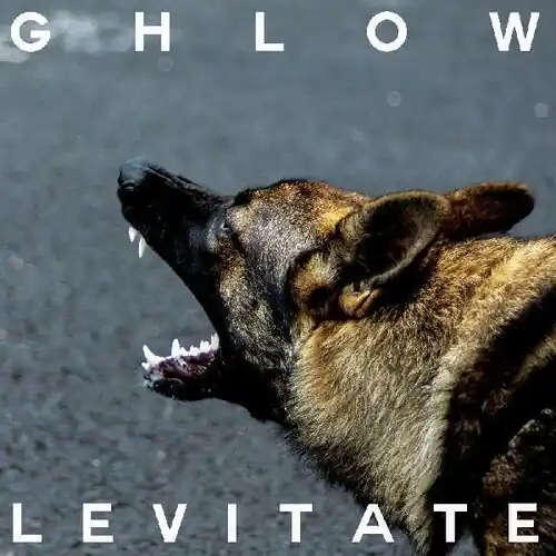 Levitate Top Pick