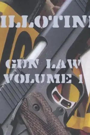 Gun Law Cheap