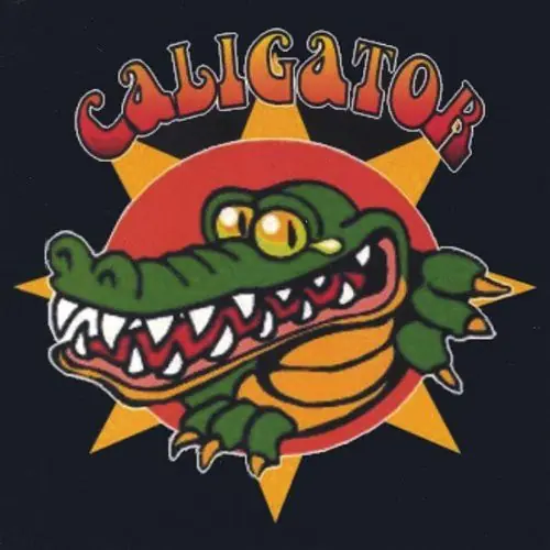 Buy Online Caligator
