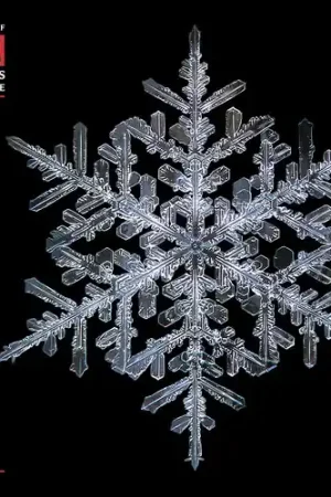 Brand New O Holy Night - Christmas Carols From St John's