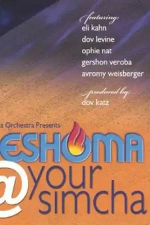Neshomaatyoursimcha Budget