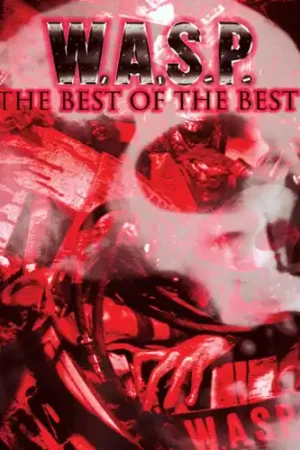 Best Of The Best Direct From Factory