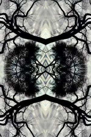 Limited Time Sonic Mandala Go: Organic Orchestra