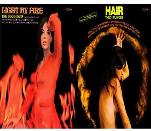 Secure Checkout Light My Fire / Hair