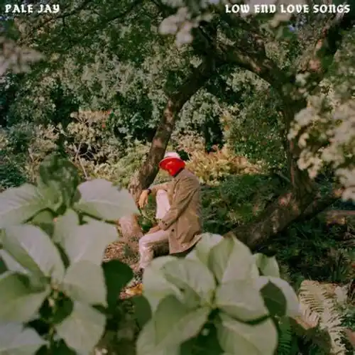 Fast Shipping Low End Love Songs
