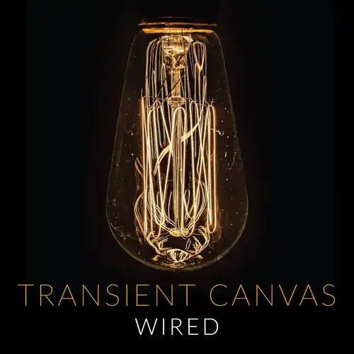 Next Day Delivery Wired