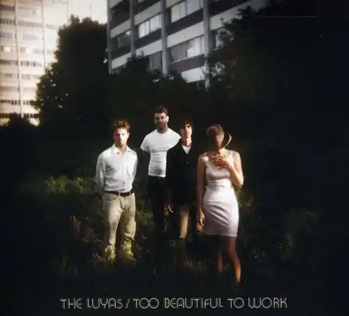 Too Beautiful to Work Brand New