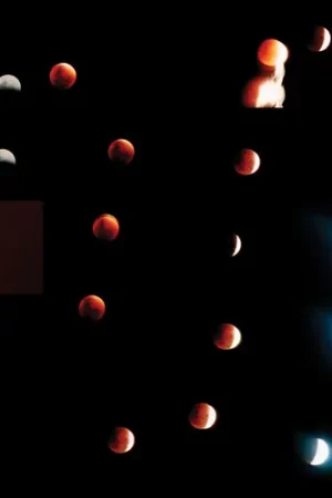 Selene [Colored Vinyl] (Wht) Best Price