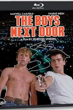 No Minimum Order The Boys Next Door