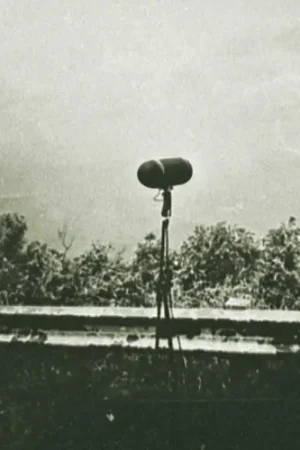 Same Day Shipping Shortwave Nights [Download Included] [180 Gram]