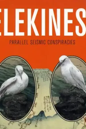 Parallel Seismic Conspiracies Premium