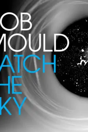 Patch The Sky [Vinyl] Wholesale