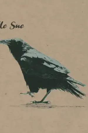 Crow (20th Anniversary Edition) New Release