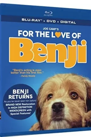 For the Love of Benji Price Cut